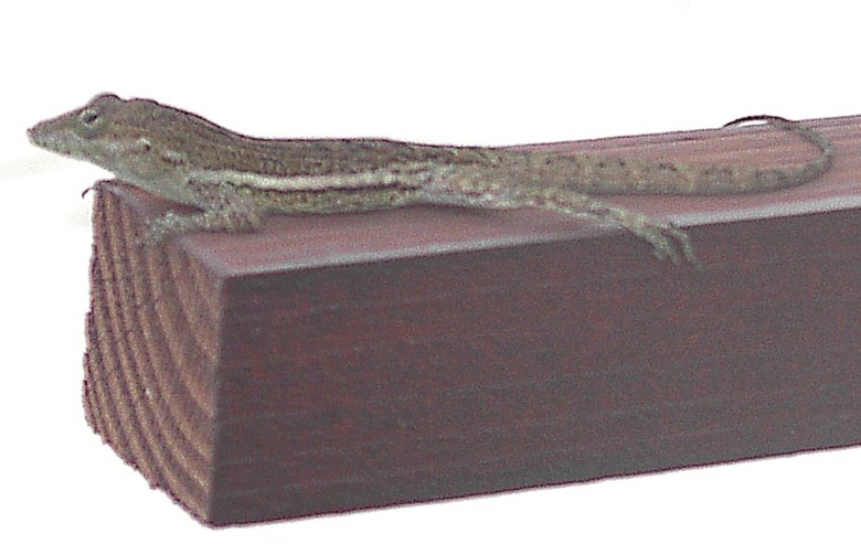 Image 3 of 24  -  67 kB