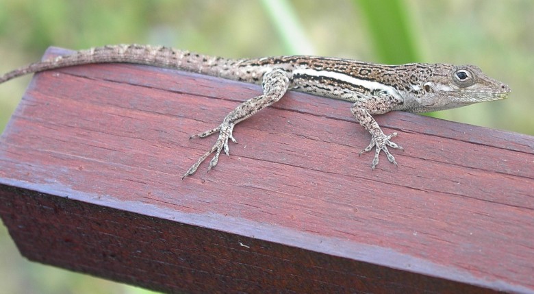 Image 14 of 24  -  87 kB