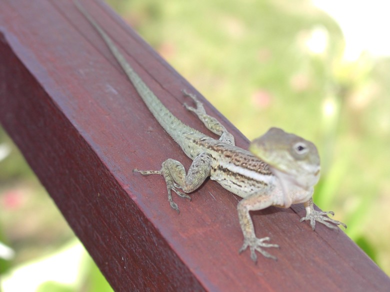 Image 19 of 24  -  70 kB